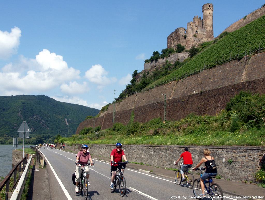 Eine wundervolle Radreise am Rhein von Heidelberg nach Koblenz