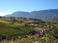 Herrlicher Blick auf das von Weinbergen umrahmte Dorf Eppan an der Südtiroler Weinstraße.
