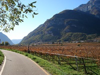Ein am Etschtal-Radweg gelegenes Südtiroler Weindorf vor der prächtigen Kulisse der Dolomiten.