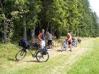 Eine Radlergruppe macht an einem Waldrand im Schwarzwald Pause.