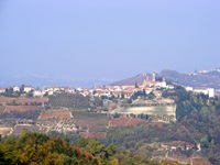 Blick auf einen Ort im Langhe-Gebiet mit zahlreichen Weinreben