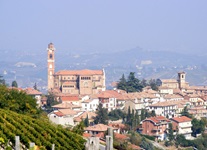 Blick auf die Gemeinde Castiglione Tinella mit ihrer Kirche und einem der vielen Weinberge auf der linken Seite