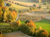 Blick über die typische Landschaft des Piemont