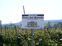 Ein Schild an den Weinreben der Weinkellerei Terre del Barolo