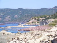 Eine verträumte Bucht mit teilweise rotem Felsstrand im Süden Sardiniens.