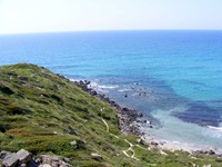 Sattgrün bewachsene Klippen und kristallklares Meer an der Südküste Sardiniens.