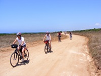 Eine Radlergruppe fährt auf einem sandigen Weg durch den Süden Sardiniens.