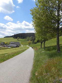 Ein Radler macht eine kurze Pause und genießt die herrliche Landschaft des Nordschwarzwaldes.