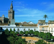 Blick auf einen Park und auf den Turm der Kathedrale von Sevilla in Andalusien