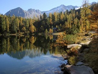Ein traumhafter See im Wald mit Blick zu den Alpen bei Bad Gastein