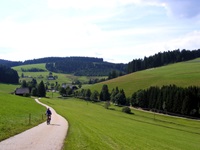 Ein Mountainbiker genießt im Vorbeifahren die herrliche Schwarzwaldlandschaft.