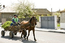 Ein Mann auf einer beladenen Kutsche, die von einem braunen Pferd durch ein Dorf gezogen wird