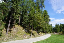 Ein weiß gekiester, von Fichten flankierter Radwegabschnitt bei St. Moritz.