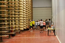Eine Gruppe Touristen bestaunt die zum Reifen aufgestapelten Grana-Padano-Käselaibe in einer Käserei.
