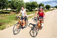 Drei Radlerinnen fahren auf einem asphaltierten, von Olivenbäumen gesäumten Weg durch das Salento.