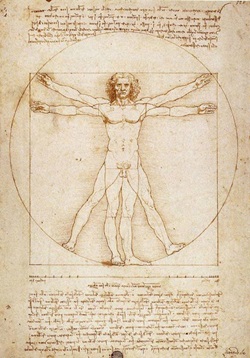 Leonardo da Vincis Skizze "Der vitruvianische Mensch".