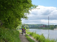 Zwei Radfahrer mit gelben Warnwesten radeln auf dem Elbe-Radweg am Flussufer entlang.