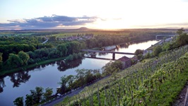 Weinberge flankieren die Elbe bei Melnik, dem Zentrum des böhmischen Weinbaus.