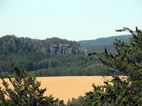 Die Felsen des Elbsandsteingebirges erheben sich über einem reifen Kornfeld.