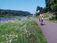 Ein Radfahrer auf dem von einem blühenden Uferstreifen gesäumten Elbe-Radweg.