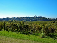 Die Burg Castello di San Salvatore in Susegane erhebt sich über sattgrünen Weinreben.