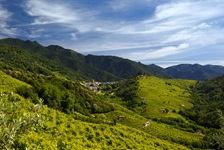 Weinreben und sanfte Hügel umrahmen den wunderschön gelegenen Ort Combai.
