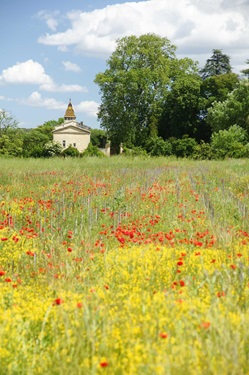 Eine kleine, inmitten einer blühenden Blumenwiese gelegene Kapelle in der Nähe von Uzès.