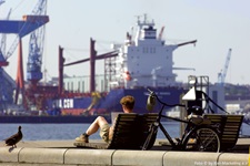 Ein Radler macht am Hafen von Kiel Pause und schaut sich eine Karte an