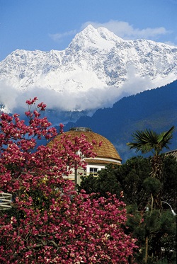 Schneebedeckte Dolomitengipfel erheben sich über dem Kurhaus von Meran und seinem mediterranen Garten.