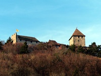 Blick auf eine Burg beim Rhein-Radweg