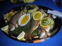 Drei ganze Fische sind zusammen mit Zitronen- und Orangenscheiben sowie einer halben Kokosnuss an Bord der San Snova appetitlich auf einer Servierplatte angerichtet.