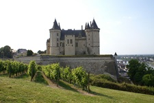 Blick auf das Schloss Saumur mit Weinreben