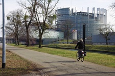 Ein Radler fährt auf einem Weg am Europäischen Parlament in Straßburg vorbei