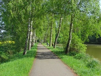 Eine verträumte Birkenallee zieht sich an einem Flusslauf entlang.