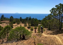 Zwei Mountainbiker fahren durch die typische toskanische Landschaft bergab auf das Meer zu.