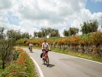 Zwei Radfahrer in der Toskana auf einem asphaltierten, von blühendem Klatschmohn gesäumten Radweg.