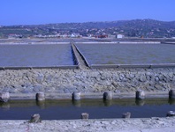 Salzwasserbecken in einer Saline bei Secovlje.