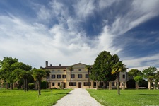 Ein weißer, von Bäumen gesäumter Kiesweg führt zur Villa Padronale in Corniani.