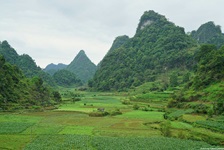 Unendlich erscheinende Reisfelder und teilweise bizarre Felsformationen in der vietnamesischen Provinz Ninh-Binh.