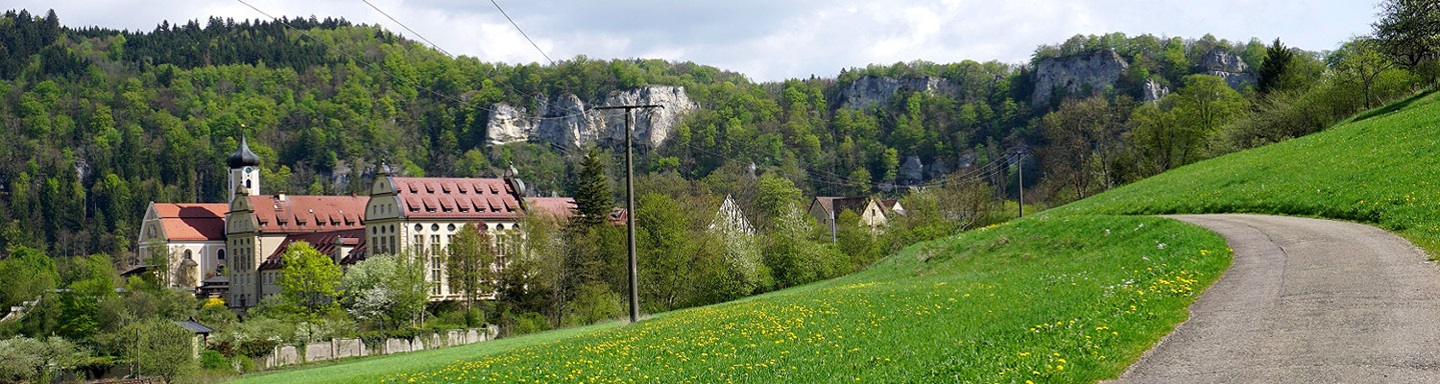 Blick vom Radweg auf das Schloss Beuron und den dahinter liegenden Steinformationen