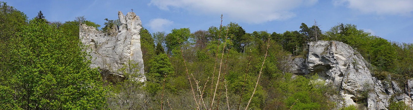 Blick auf die Burgruine Neugutenstein oder "Gebrochen Gutenstein"
