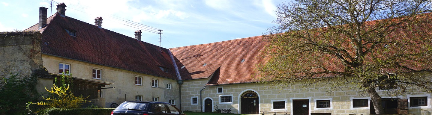 Blick auf das Kloster Inzigkofen