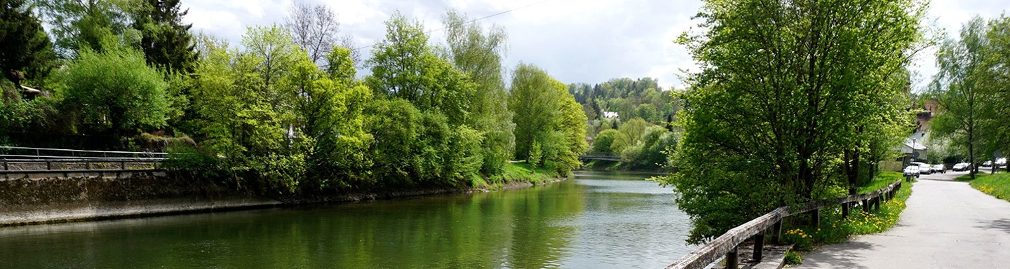 Blick vom Danauradweg bei Sigmaringendorf über die Donau