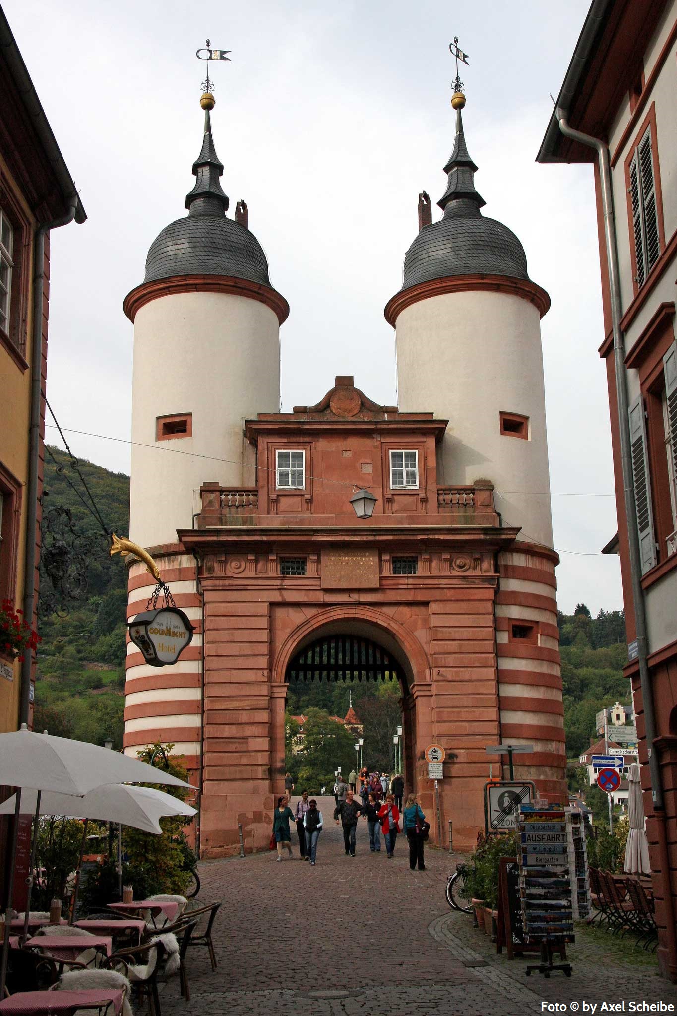 Eine unvergessliche Radreise am Rhein von Mainz nach Basel