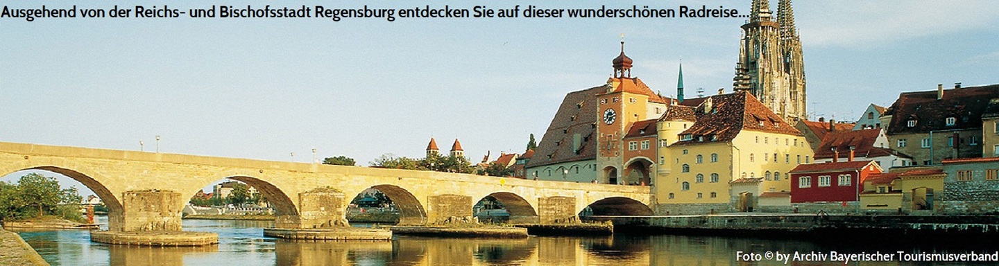 Blick auf die Steinerne Brücke über die Donau nach Regensburg