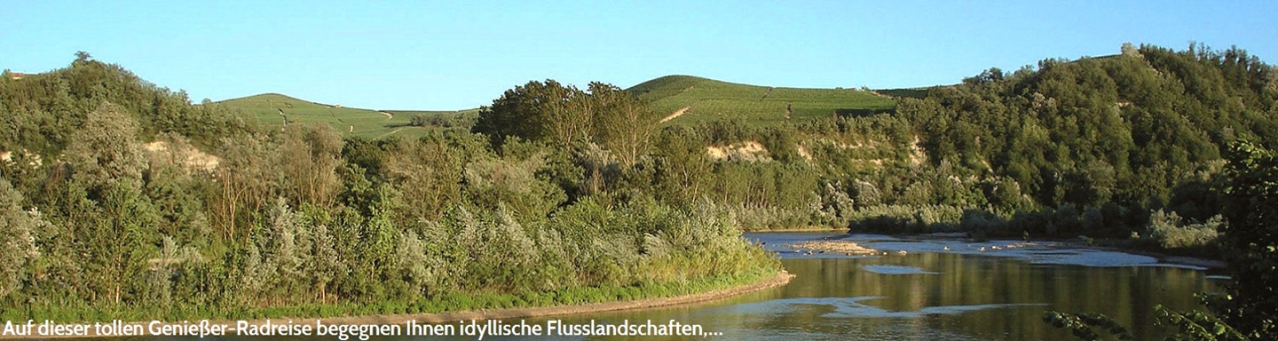 Flusslandschaft im Piemont mit Büschen und Bäumen umsäumte Ufer und den typischen Weinbergen