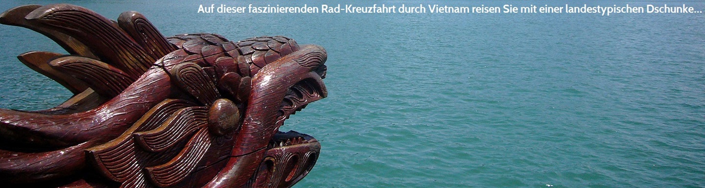 Detailbild einer Holz-Gallionsfigur im Stil eines Drachen an einer landestypischen Dschunke in Vietnam