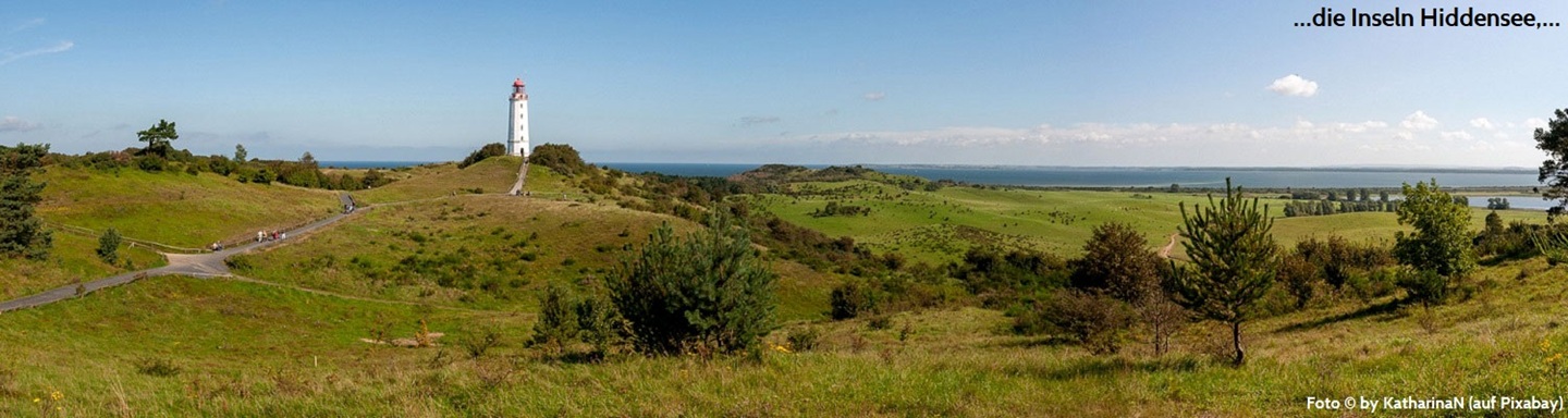 Blick über die Wiesenlandschaft zum Leuchtturm Dornbusch auf der Insel Hiddensee