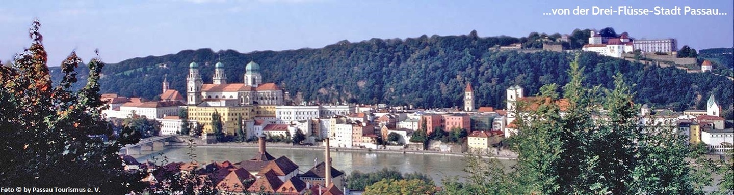 Blick über einen Fluss zur Promenade Passaus mit dem Dom St. Stephan und der Veste Oberhaus auf dem Georgsberg