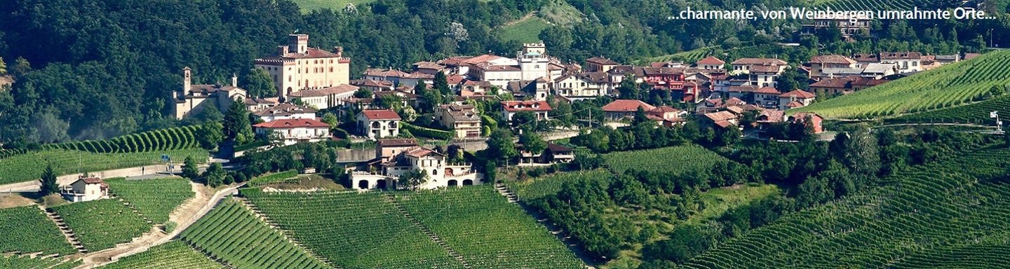 Blick über die Weinberge zum Cestello di Roppolo und seinem Ort, Piemont, Italien